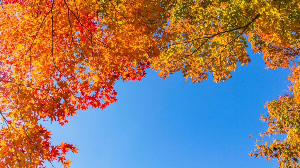 Sunny Friday in Twin Cities with mostly dry Halloween weekend — St. Paul Sports news