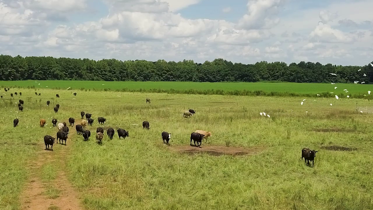 5 ON YOUR SIDE: Regenerative agriculture — St. Paul Health news